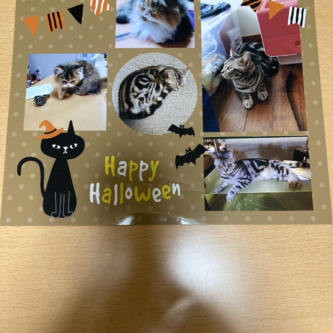 アメマルシェのカバー写真