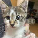 ５月２１日生まれ男の子