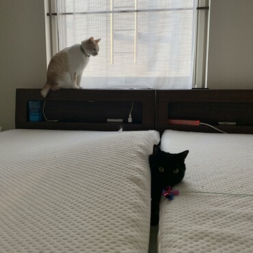 の写真