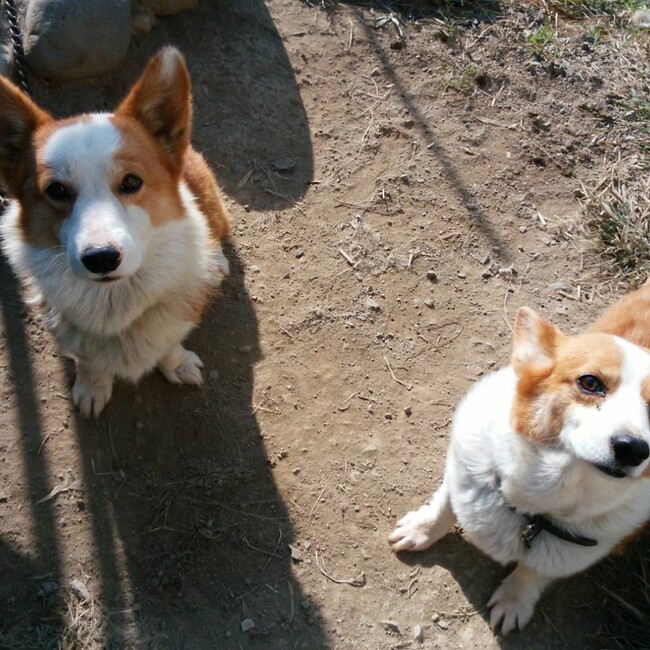 るい君パパのカバー写真