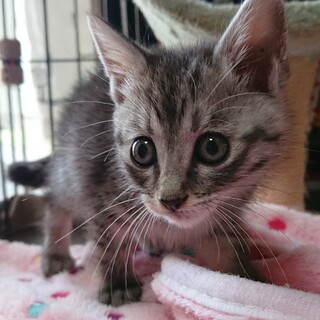 可愛くておちゃめな泉ちゃん