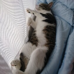 「ＴＮＲの準備中・・・。」サムネイル2