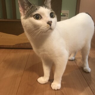 怖がりですが新しいお家が見つかりました