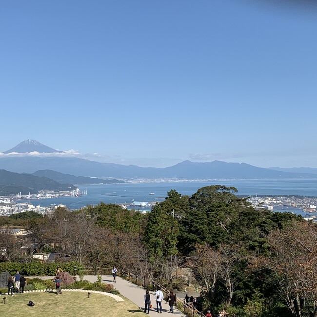 きなこっこひめのカバー写真