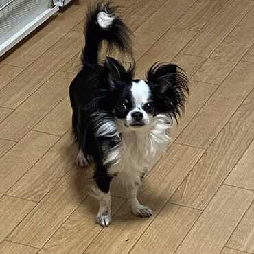 イケメンに育ったよ