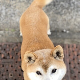 ☆ご家族がきまりました‼️☆