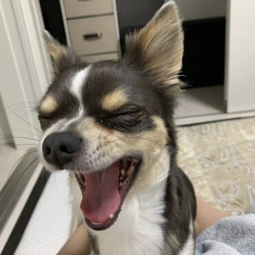 の写真
