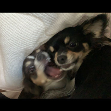 の写真