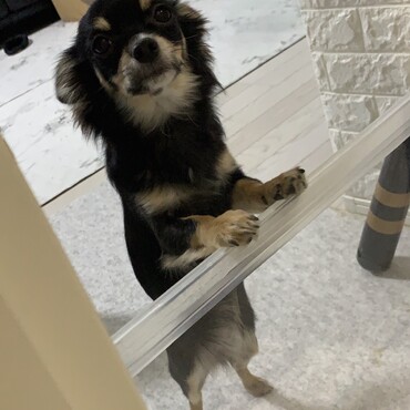 の写真