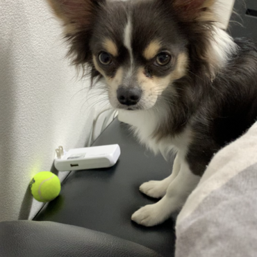 の写真