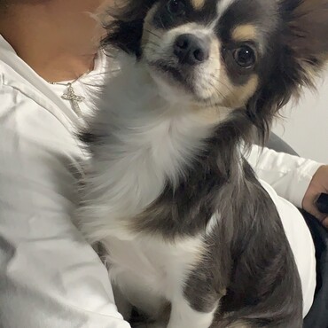 の写真