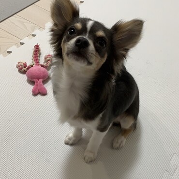 の写真