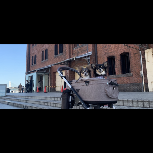 あやのじゅんぼぼららのカバー写真