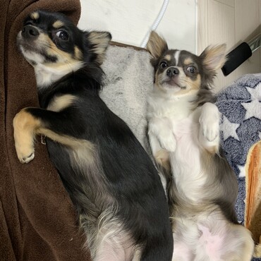 の写真