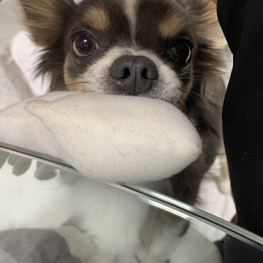 の写真