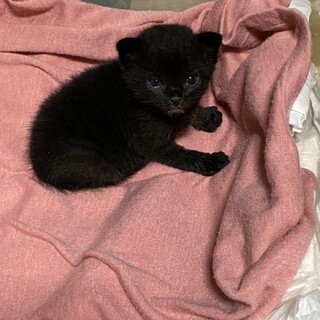 【代理投稿】これから離乳食です！