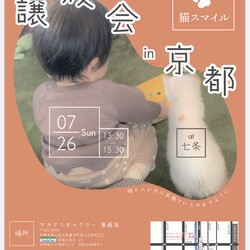 ねこの譲渡会＠サカタニギャラリー サムネイル1