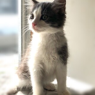 【7/26家族決定】大阪府・リズ君★陽気なBOY