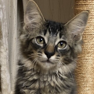 2ヶ月のイケメン君♡