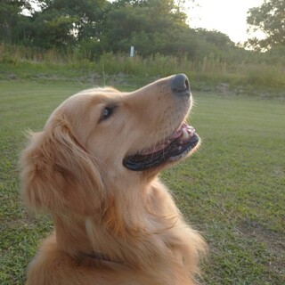 たくさんのご応募ありがとうございました