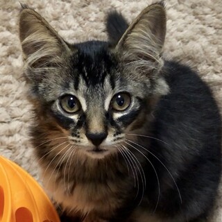 2ヶ月の姫ちゃん♡可愛い女の子。