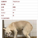 収容期限1週間です