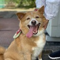 家族に迎えてください。