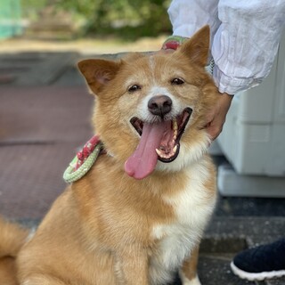 家族に迎えてください。