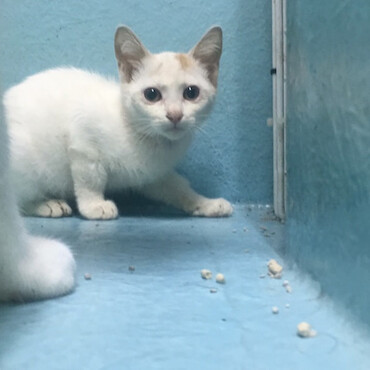 ユイちゃんの写真