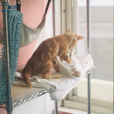 ユイちゃんの写真