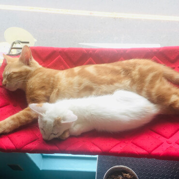 ユイちゃんの写真