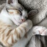 美穂っぺ