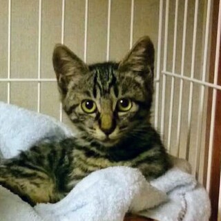 おちょぼ口、いっ太くん♪