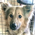 ☆素敵な家族ができました☆