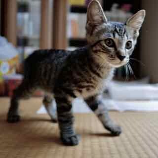 生後2ヶ月のやんちゃな男の子