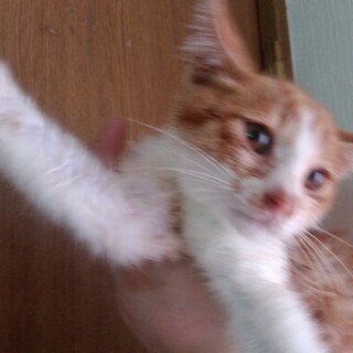 10カ月くらいの男の子