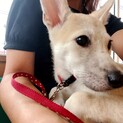 ぽんず君の家族を探してます。