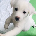 お問合せがあり一旦停止中です。