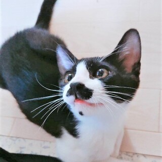 心を許したらデレ甘のビビリくん