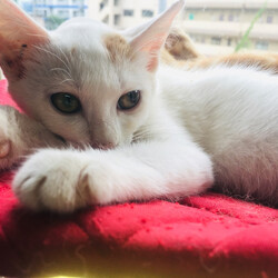 「ユイちゃんはチクるのが大好きな陰湿な女の子」サムネイル2