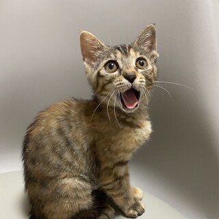 甘々ゴロゴロ人が大好きななづなちゃん❤️