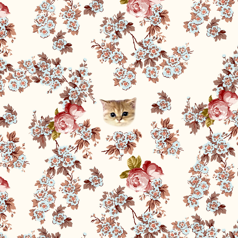 ショコラのカバー写真