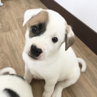 生後１ヶ月の男の子です