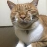 すけまる大将