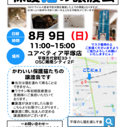 保護猫の譲渡会