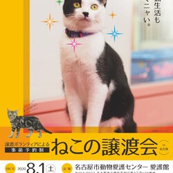 名古屋市動物愛護センター　譲渡ボランティアによる猫の譲渡会