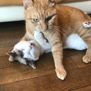 の写真
