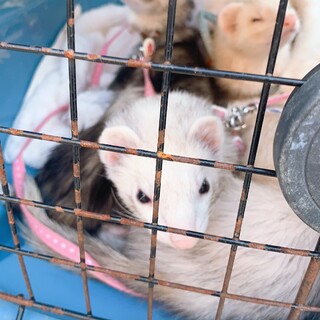 遊ぶのが大好きな子たちです！