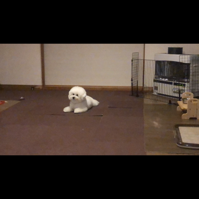 すみちくのカバー写真