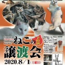 子猫譲渡会